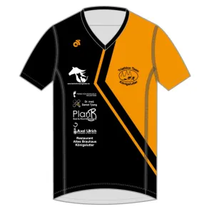 Apex Men's Run Top V-Neck