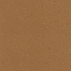 Barcelona-Camel