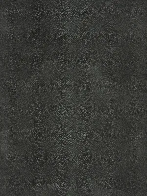 Canberra - Shadow