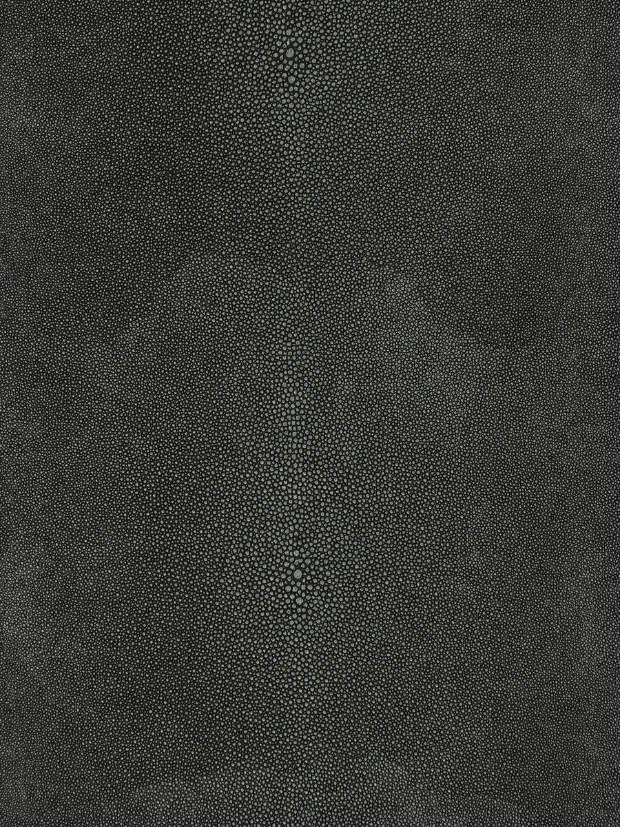 Canberra - Shadow