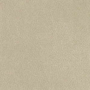 Fiesta-Taupe