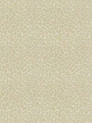 Kaza - Custard