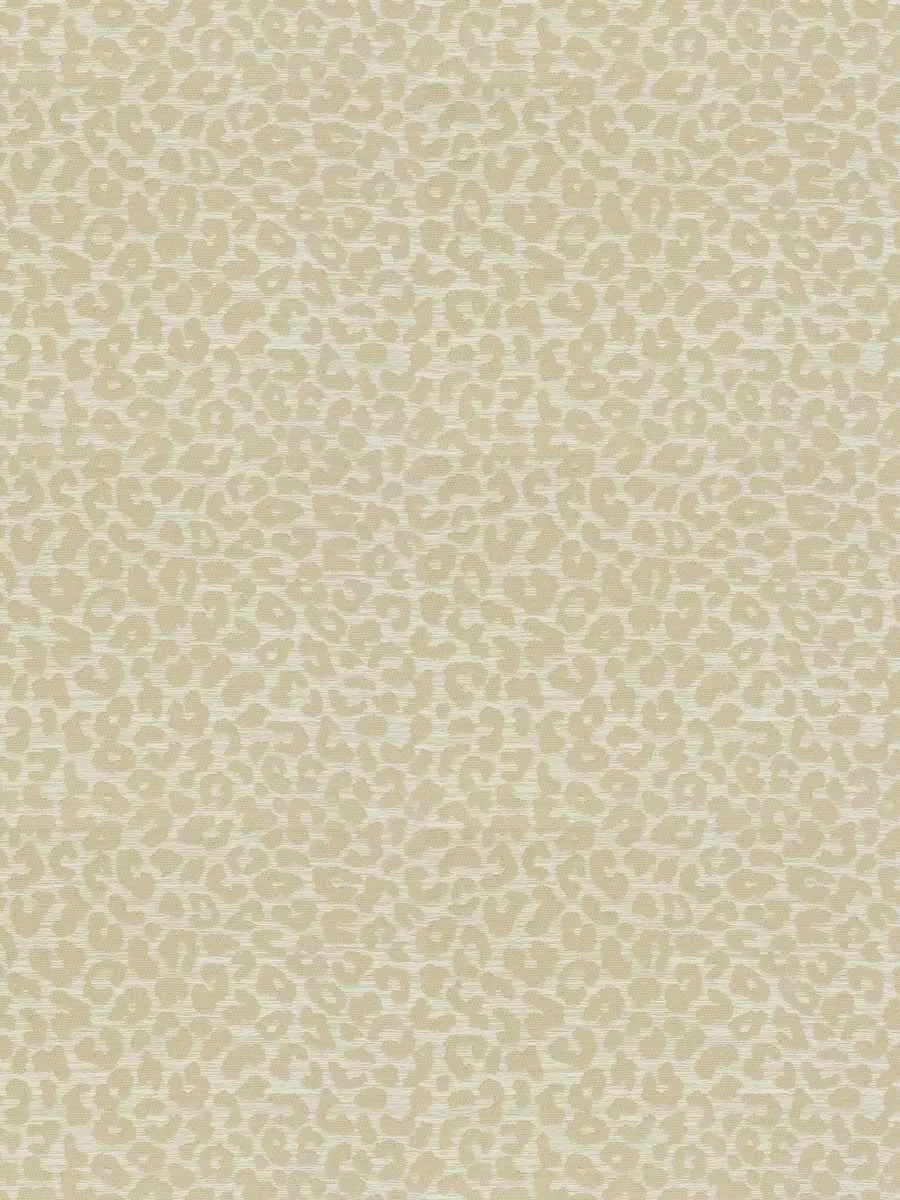 Kaza - Custard