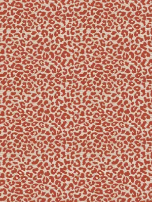 Kaza - Guava