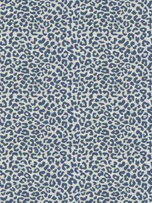 Kaza - Navy
