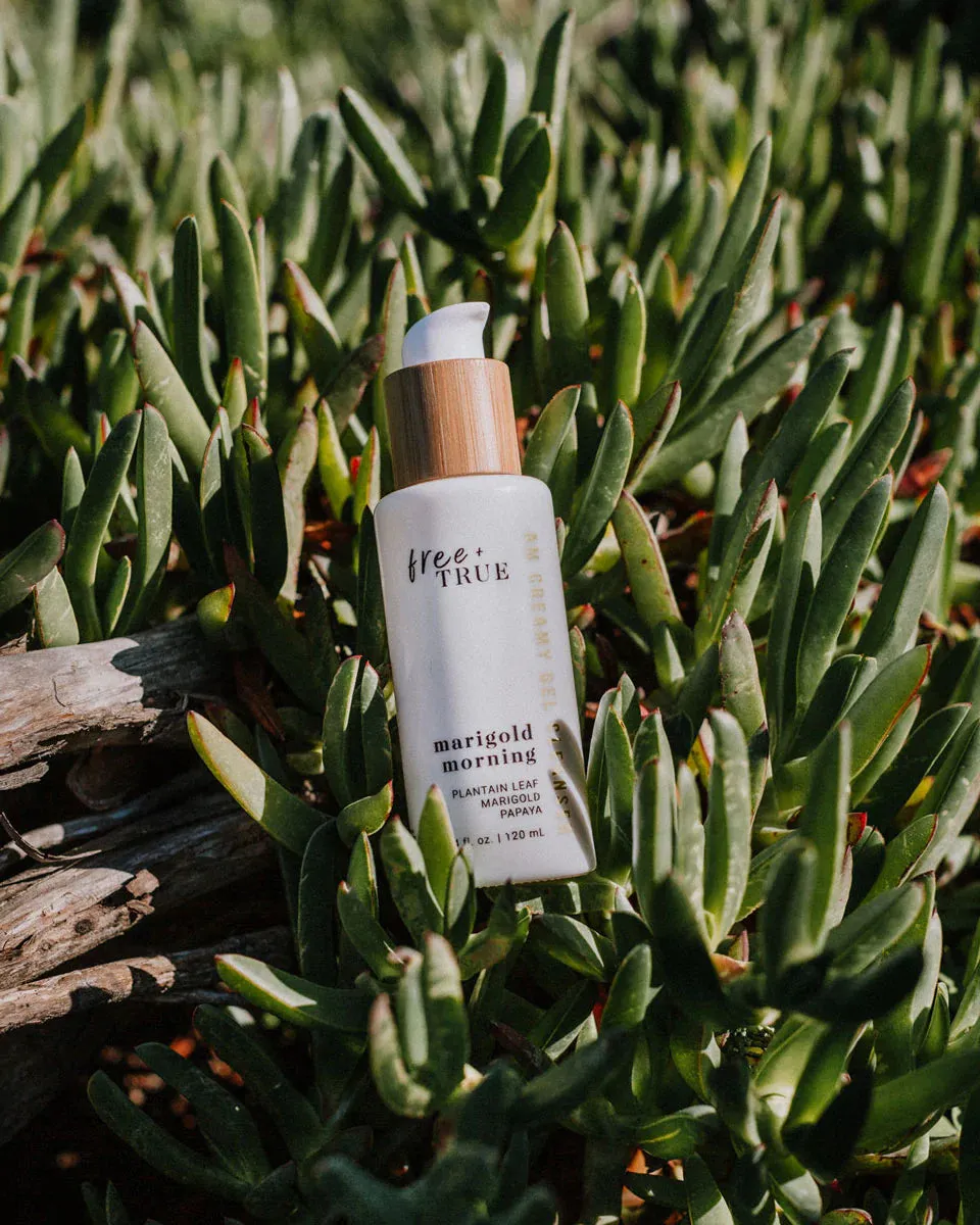 MARIGOLD MORNING AM Creamy Gel Cleanser