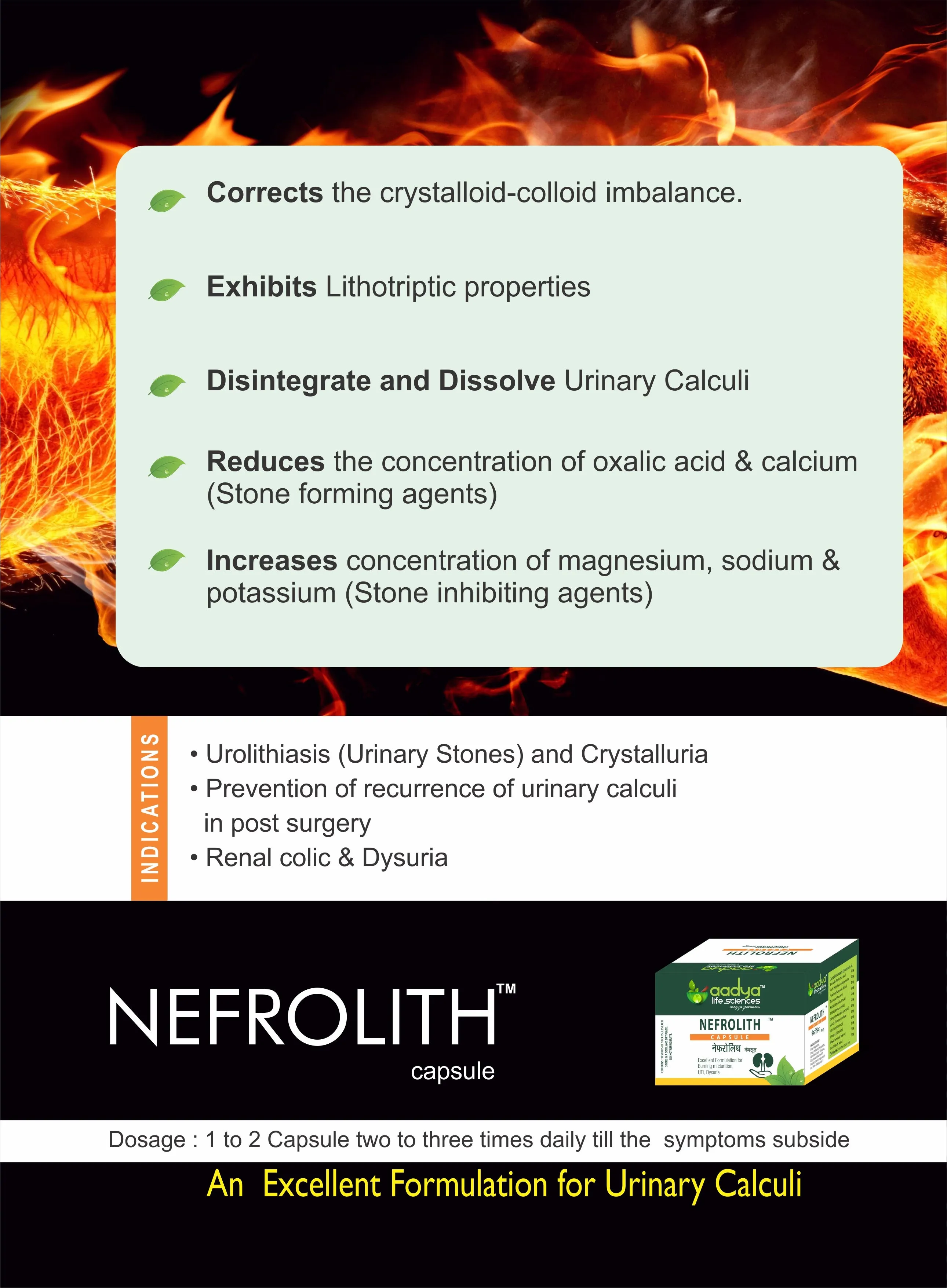 Nefrolith Capsules for Kidney stone, Urinary tract infections and Prostate associated disorders