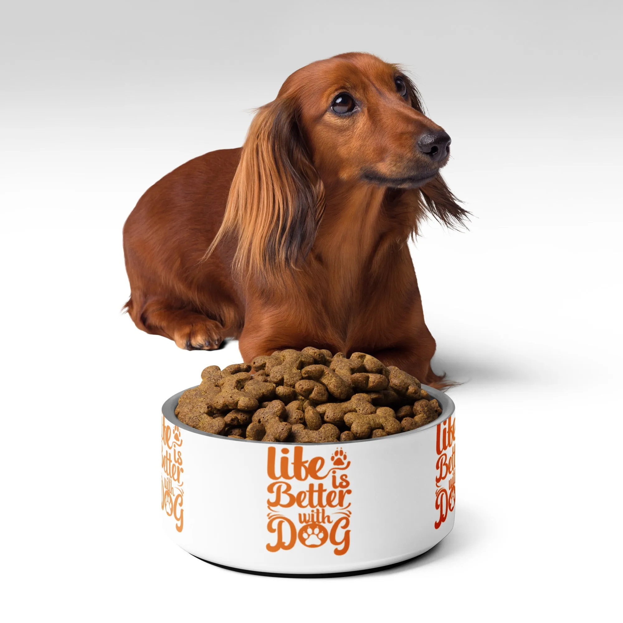 Pet bowl, gift idea favorite pet