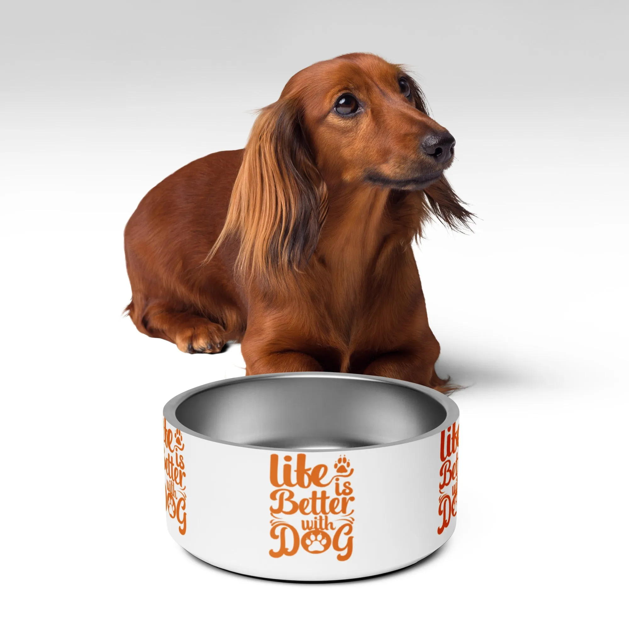 Pet bowl, gift idea favorite pet