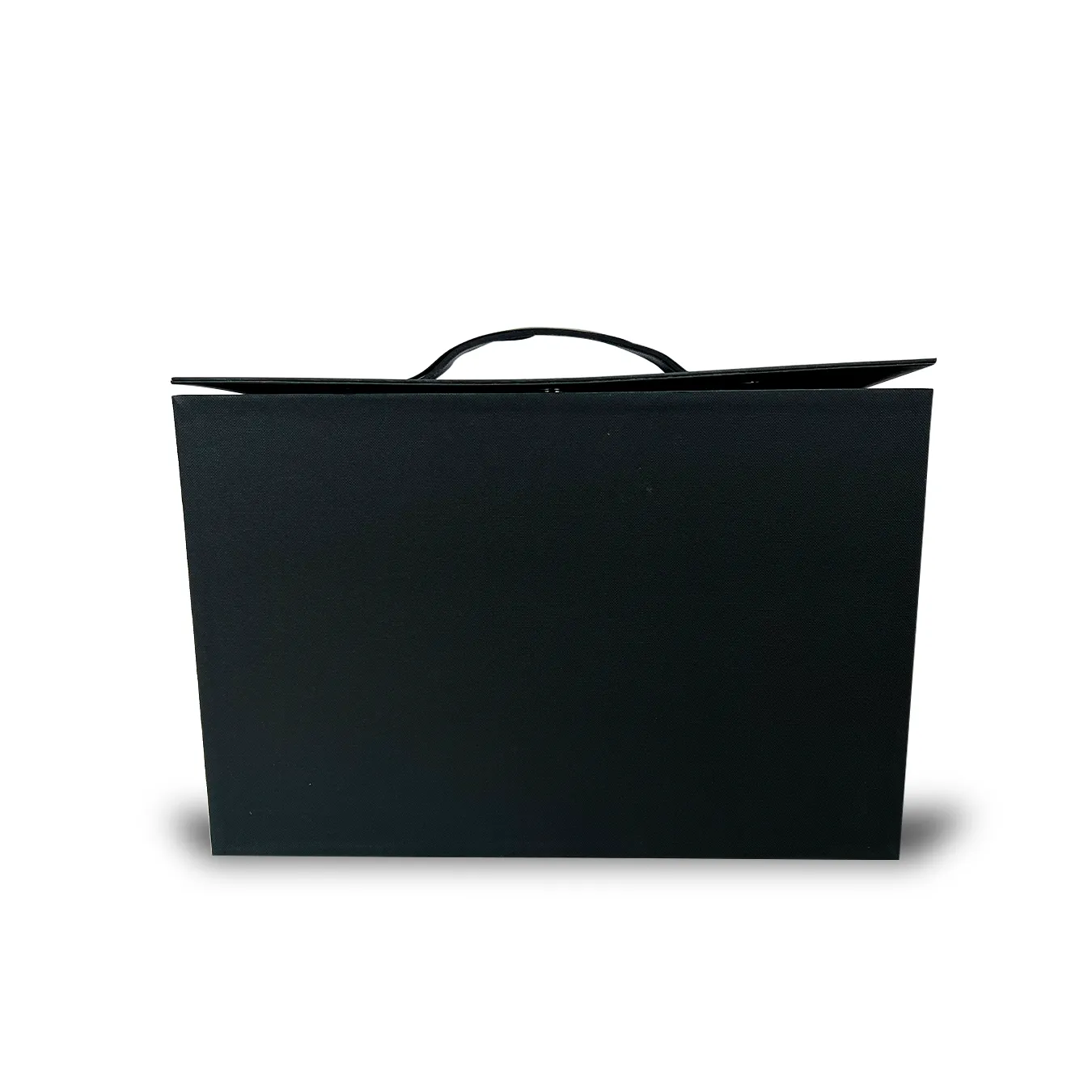 Premium Hard Shoe Box Protection Case
