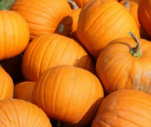 Pumpkins
