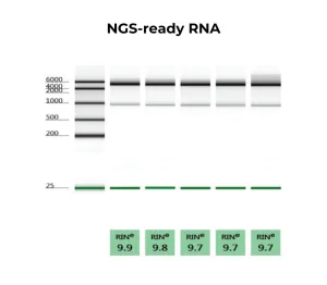 Quick-RNA MagBead