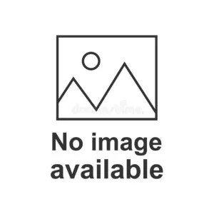 Smartwool Women's Run Targeted Cushion Low Ankle Socks