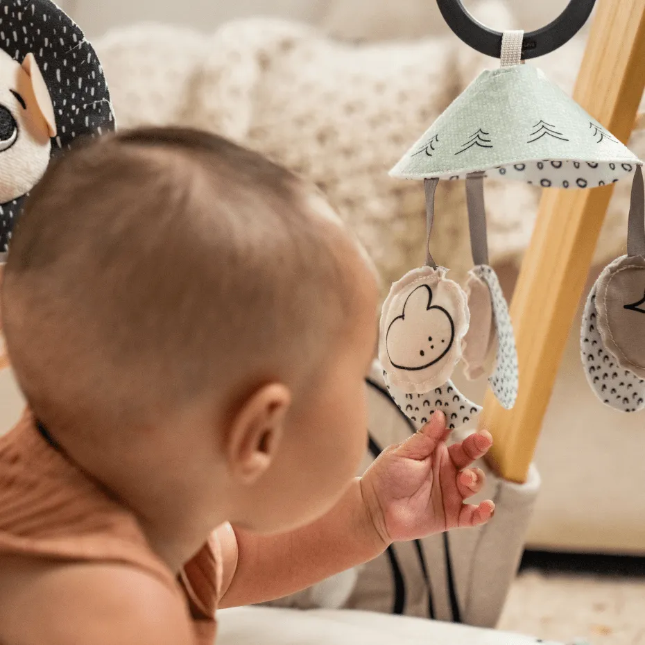 Tiny Love Décor Luxe Gymini - Black & White